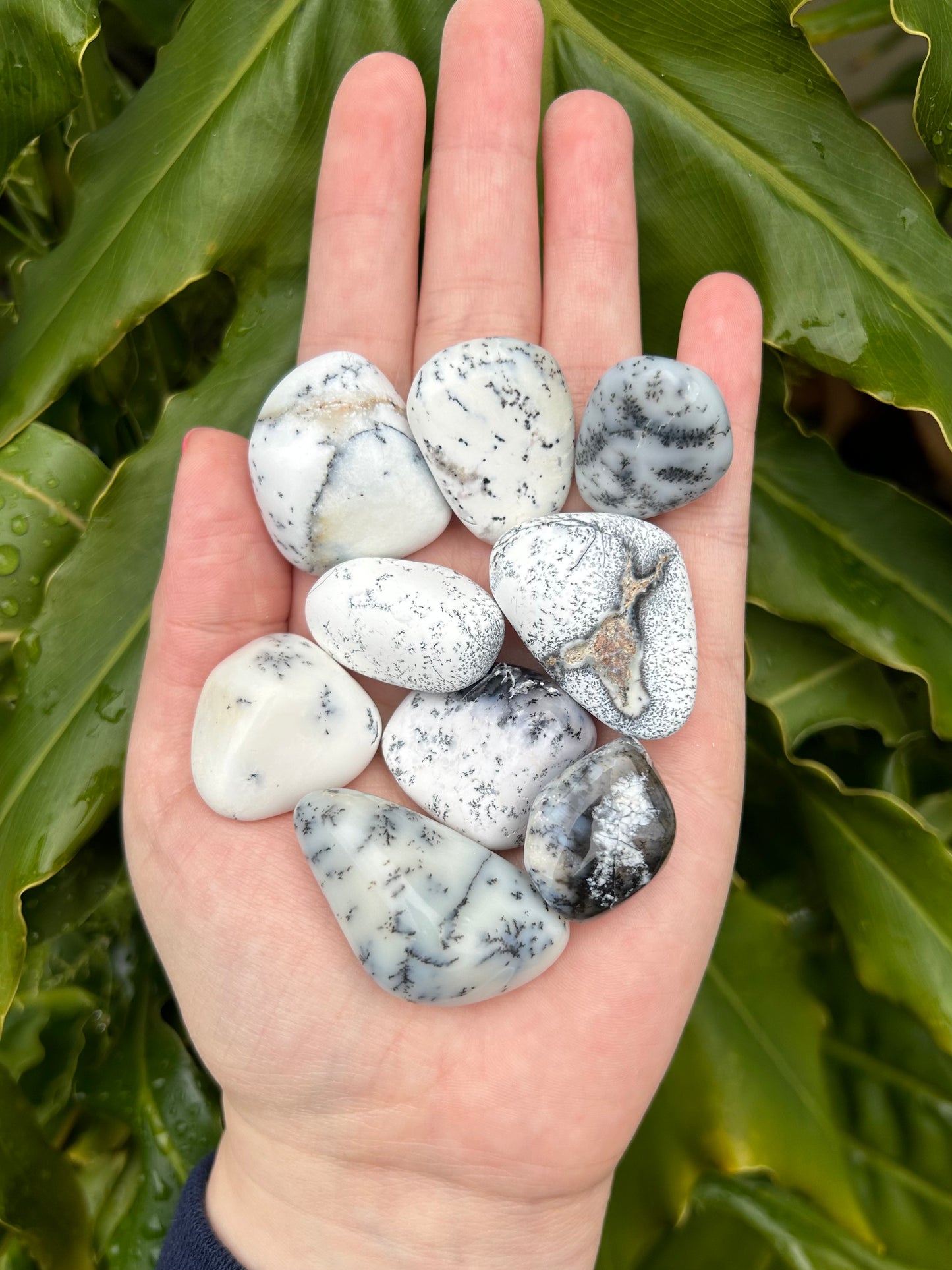 Dendritic Opal tumbles