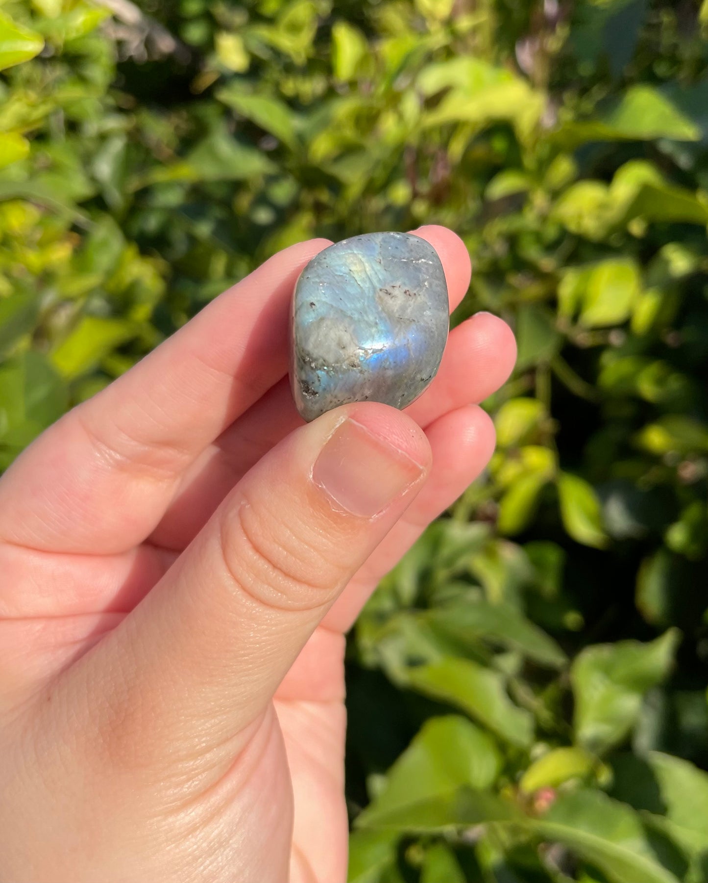 Labradorite Tumbles