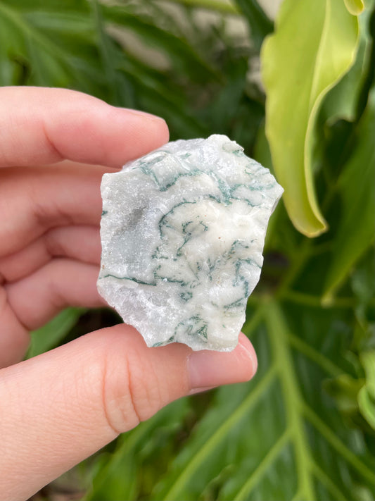 Raw Tree Agate