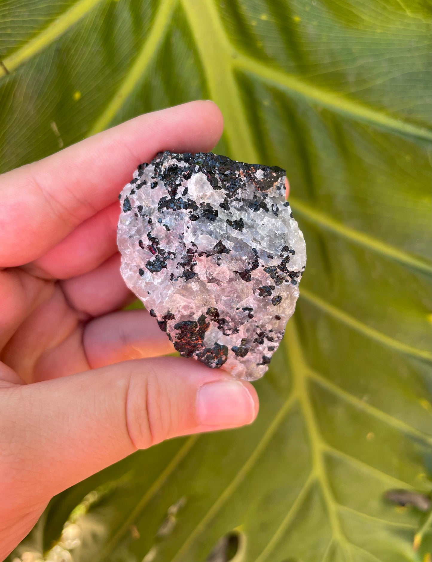 Raw Tourmalated Quartz