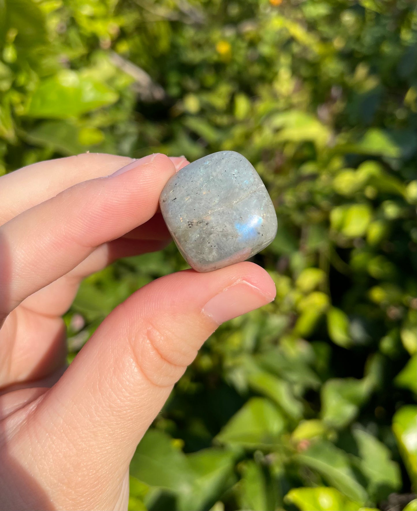 Labradorite Tumbles