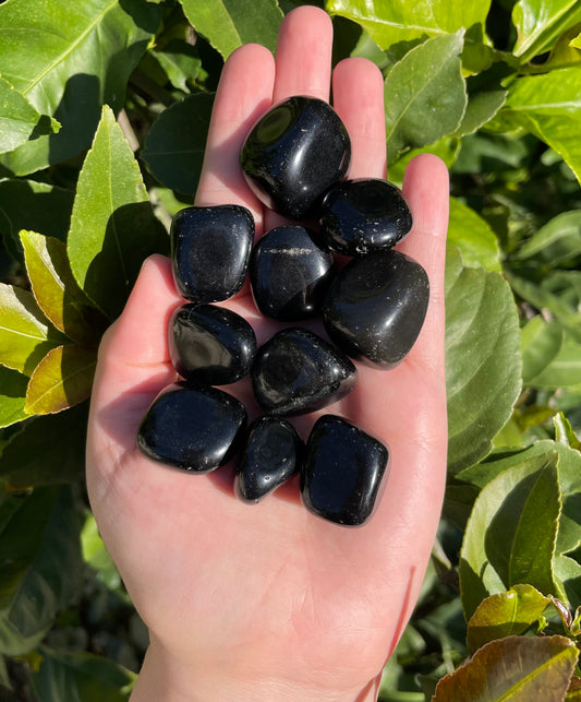 Black Obsidian tumbles