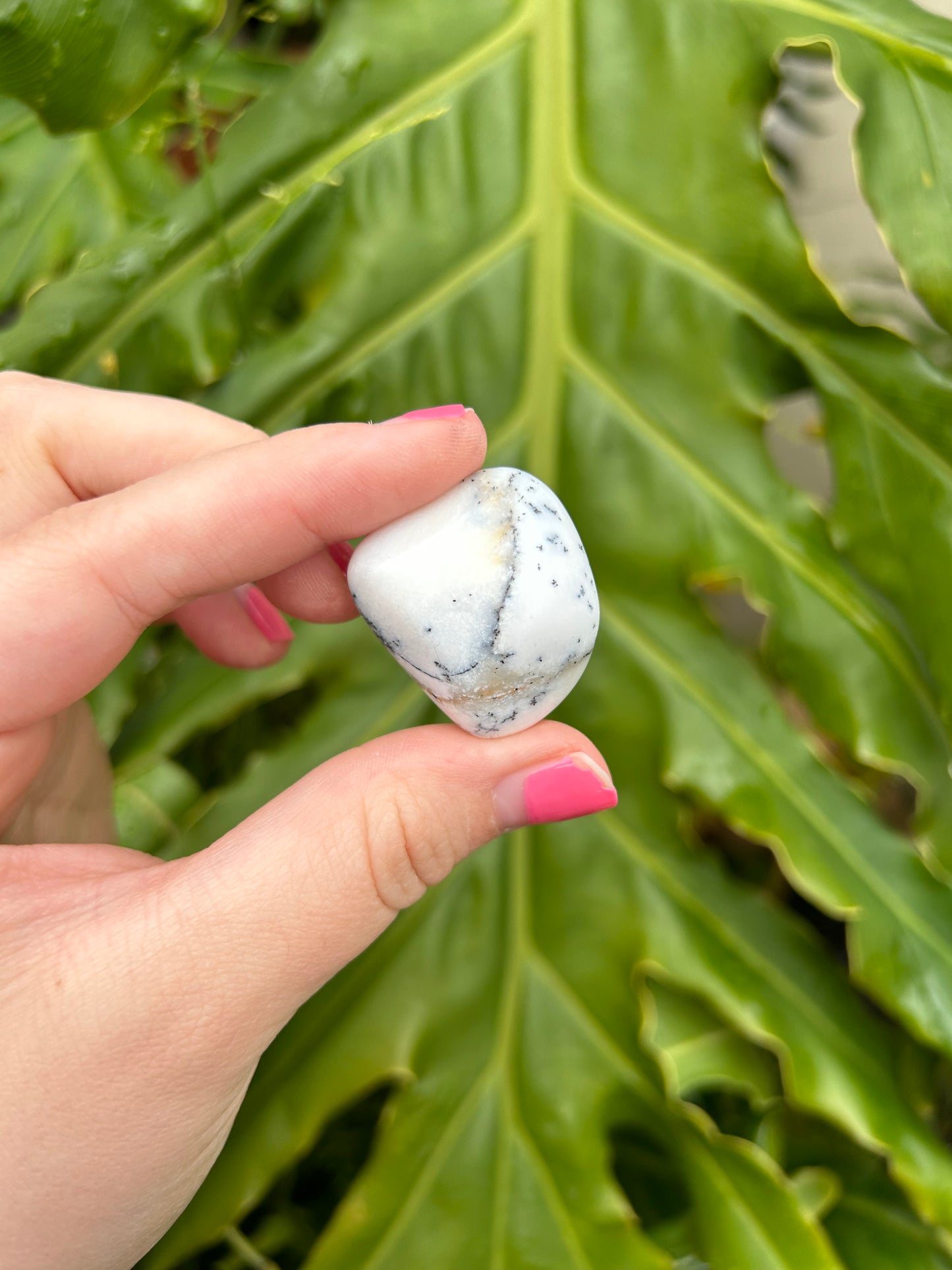 Dendritic Opal tumbles