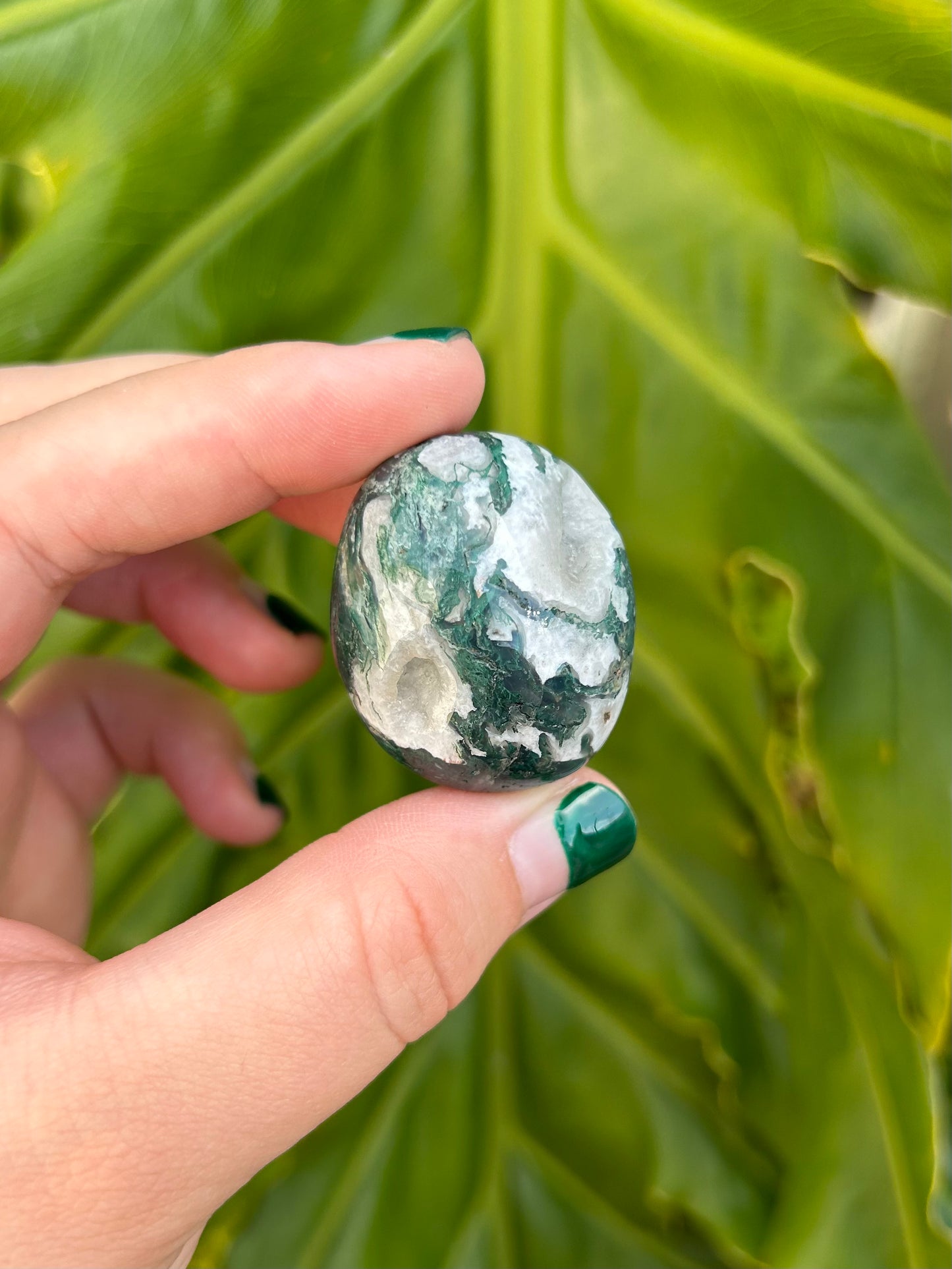 Moss Agate Tumbles