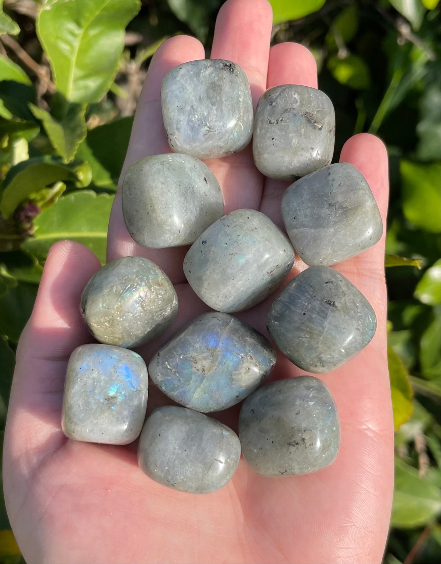 Labradorite Tumbles