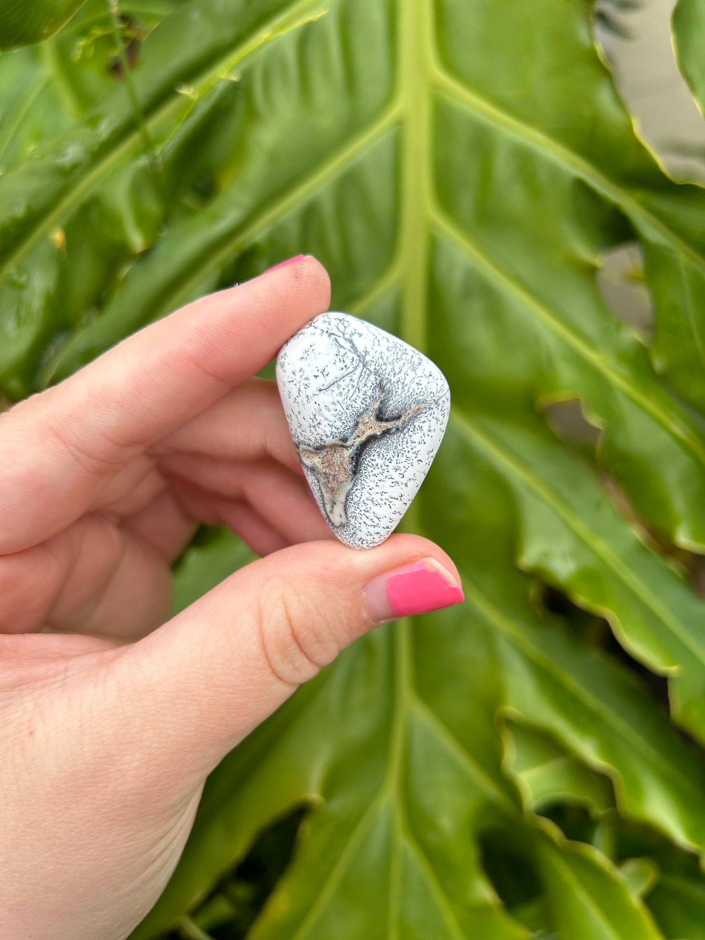 Dendritic Opal tumbles