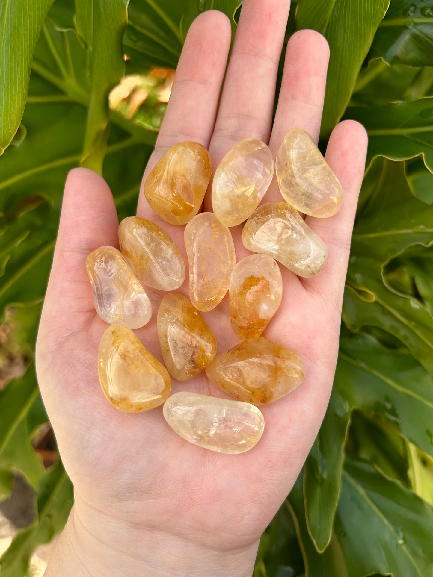 Golden Healer Quartz Tumbles