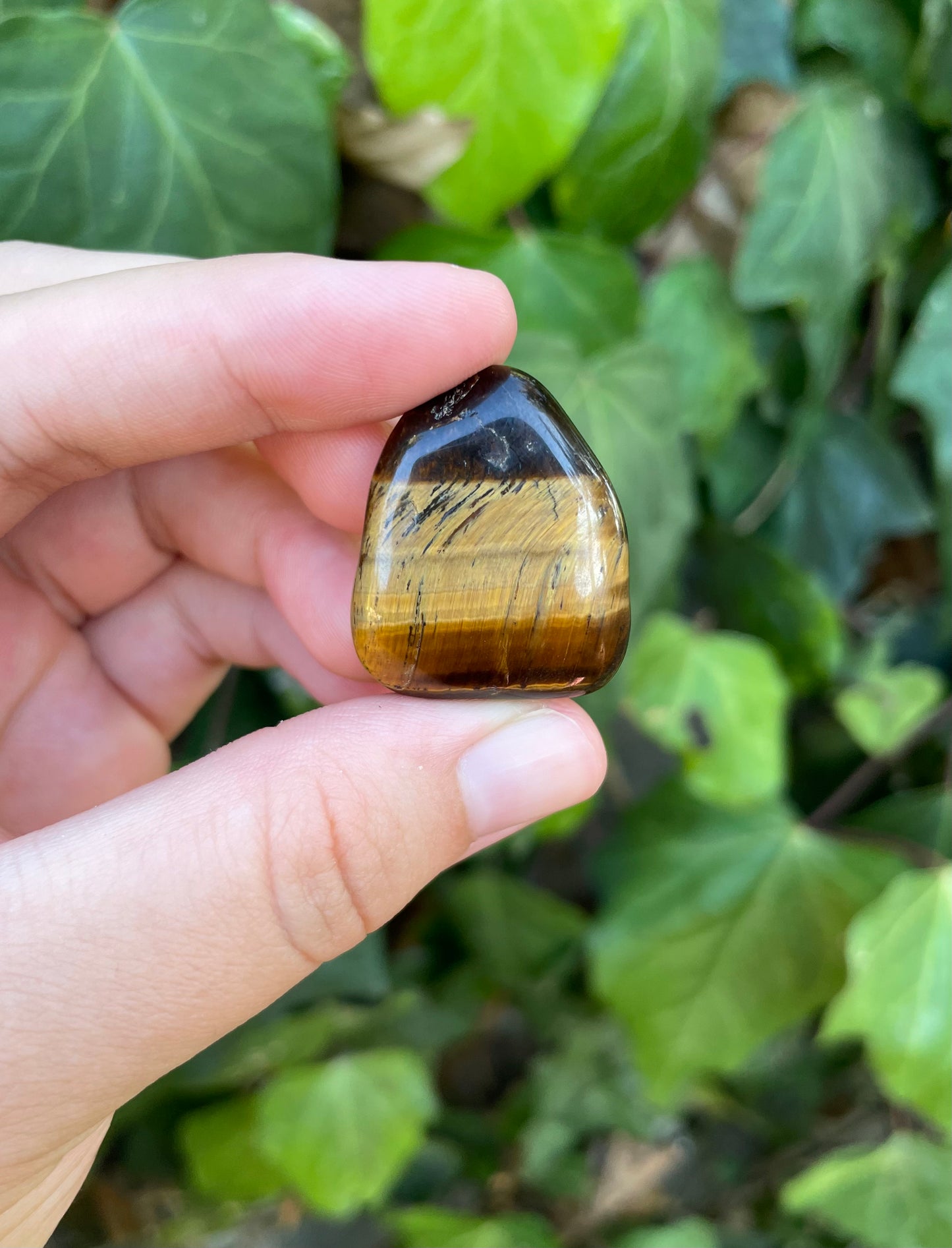 Tigers Eye Tumbles